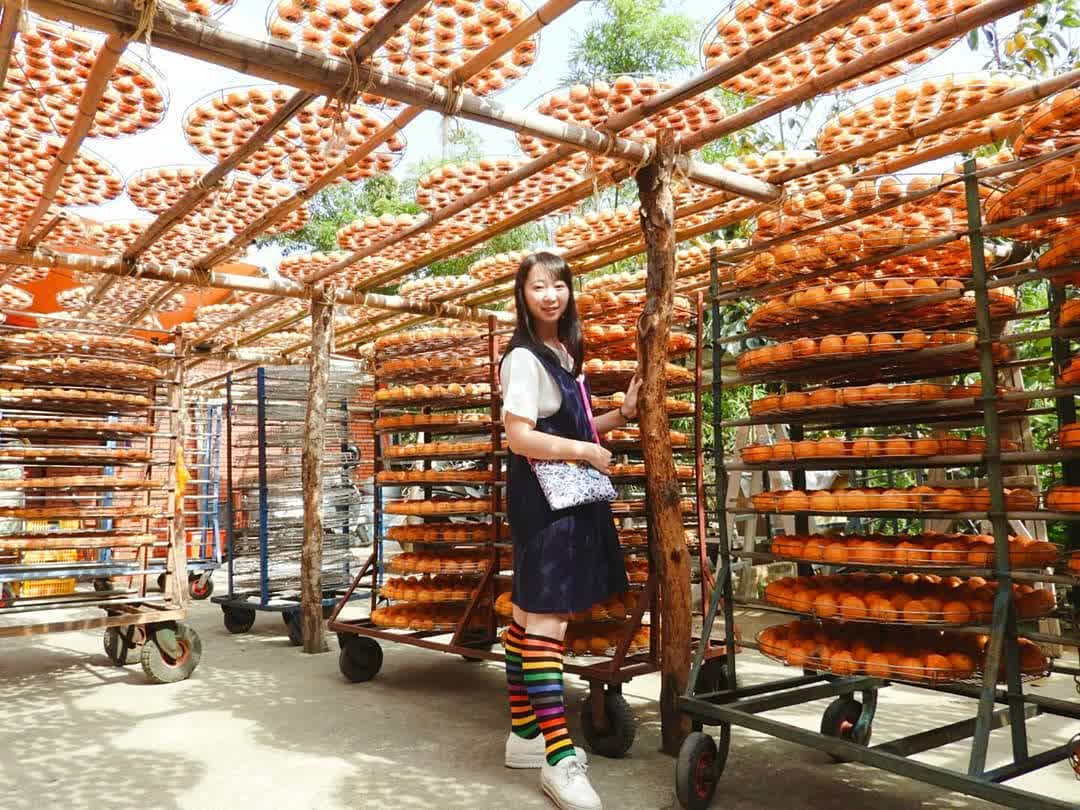 味衛佳柿餅教育農園 | 去趣 chicTrip