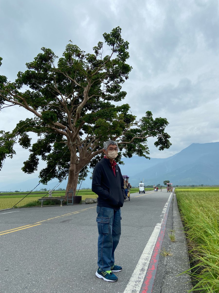 奉茶樹 金城武樹 | 去趣 chicTrip