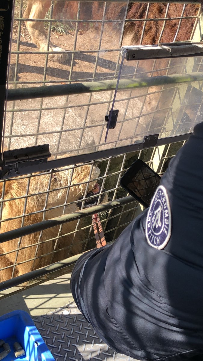 九州自然動物公園 | 去趣 chicTrip