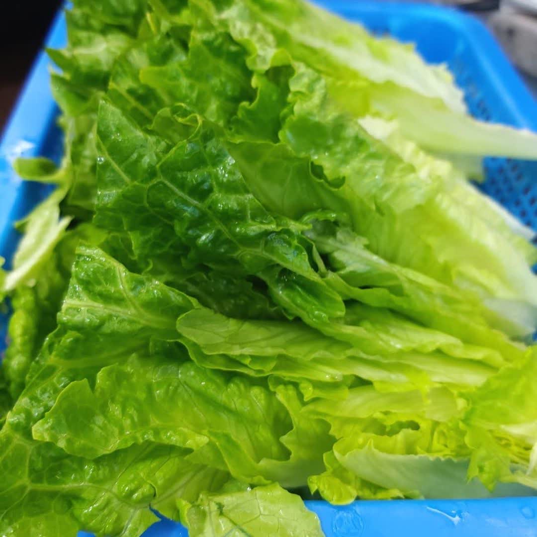 贏到粥 | 去趣 chicTrip