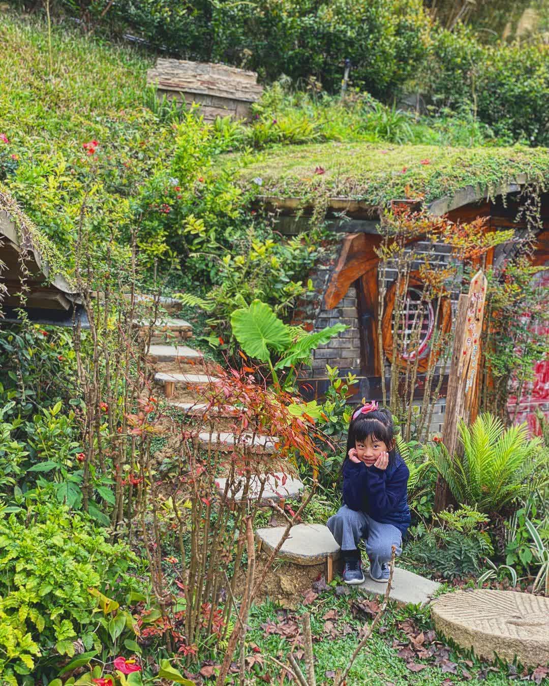 哈比丘茶樹森林 | 去趣 chicTrip