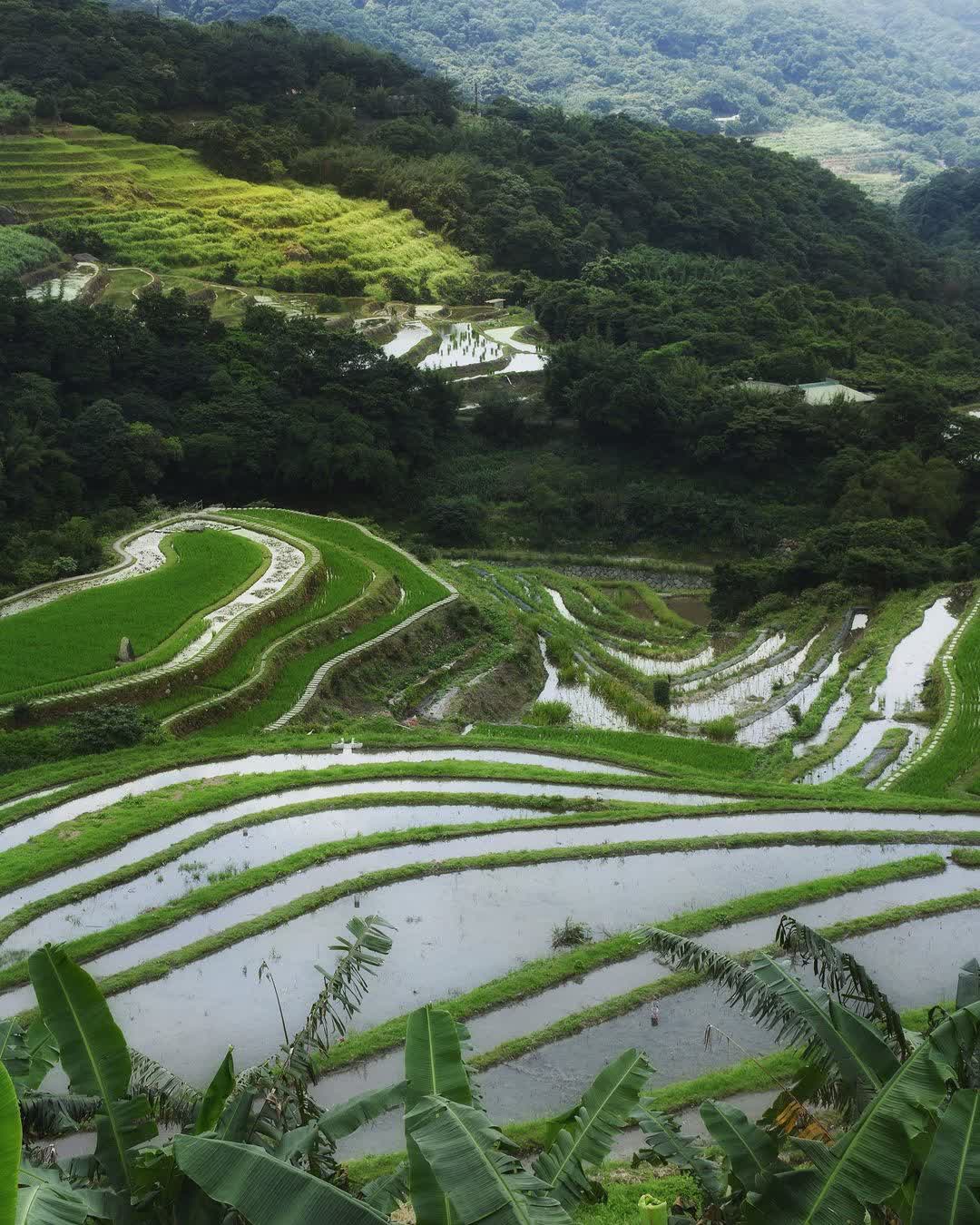 百年梯田-石門嵩山