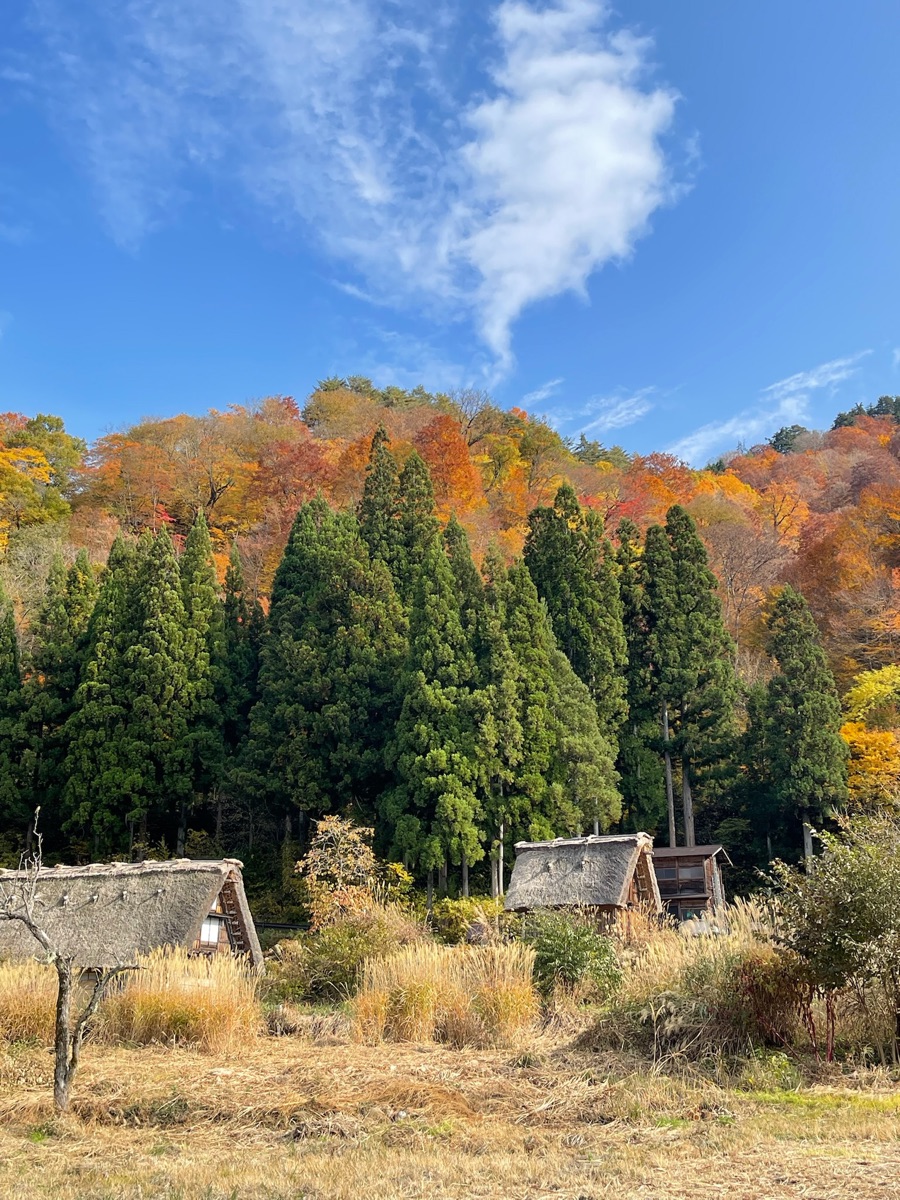 荻町城跡展望台 | 去趣 chicTrip