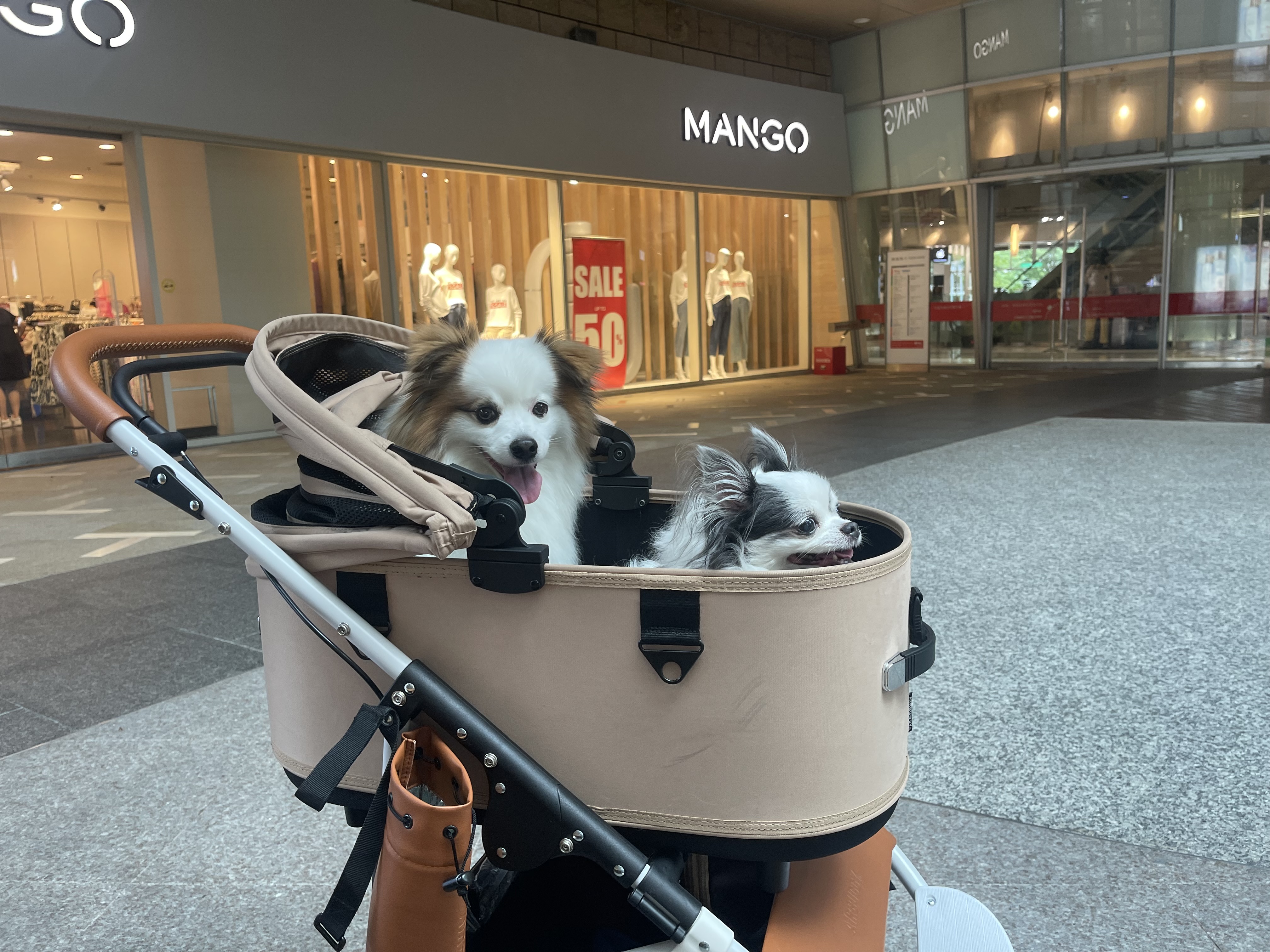 Miramar美麗華百樂園 | 去趣 chicTrip