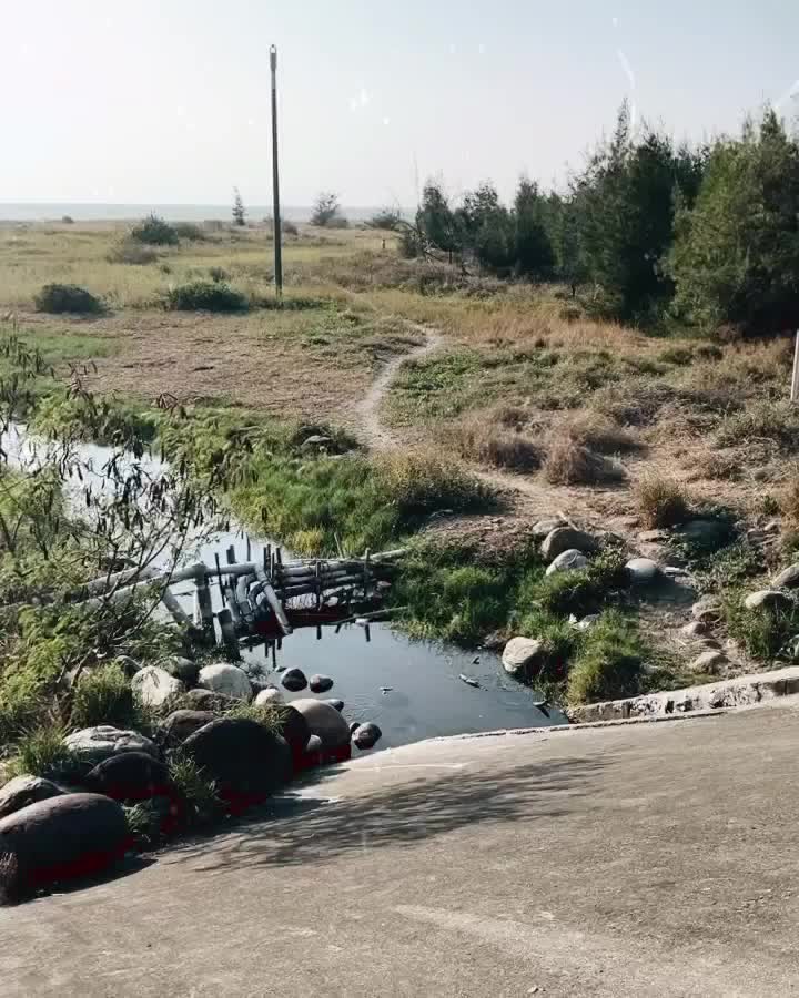 黃金海岸 | 去趣 chicTrip