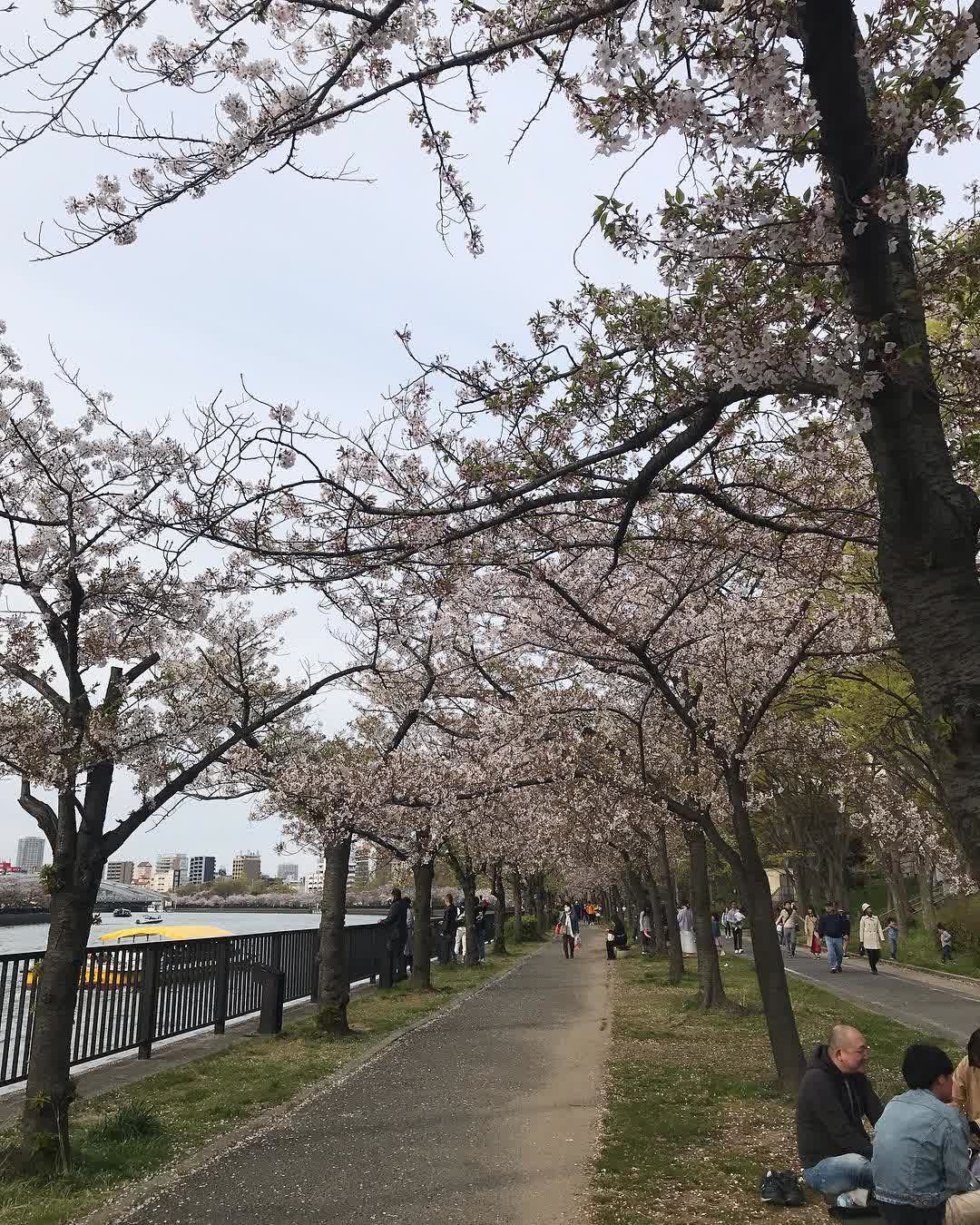 毛馬櫻之宮公園 | 去趣 chicTrip