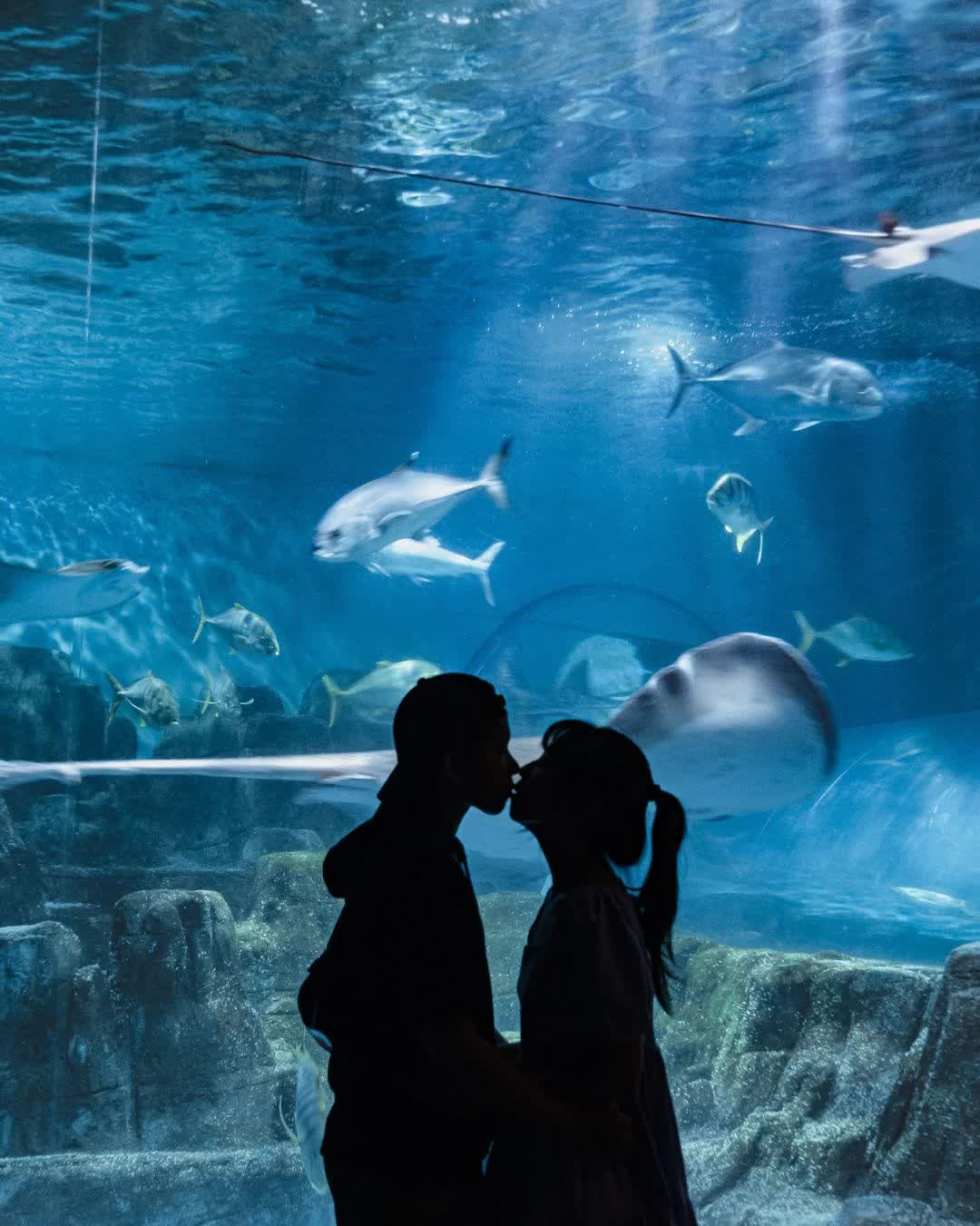 遠雄海洋公園 | 去趣 chicTrip