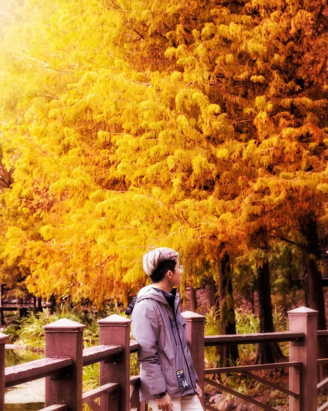 貯木池 | 去趣 chicTrip