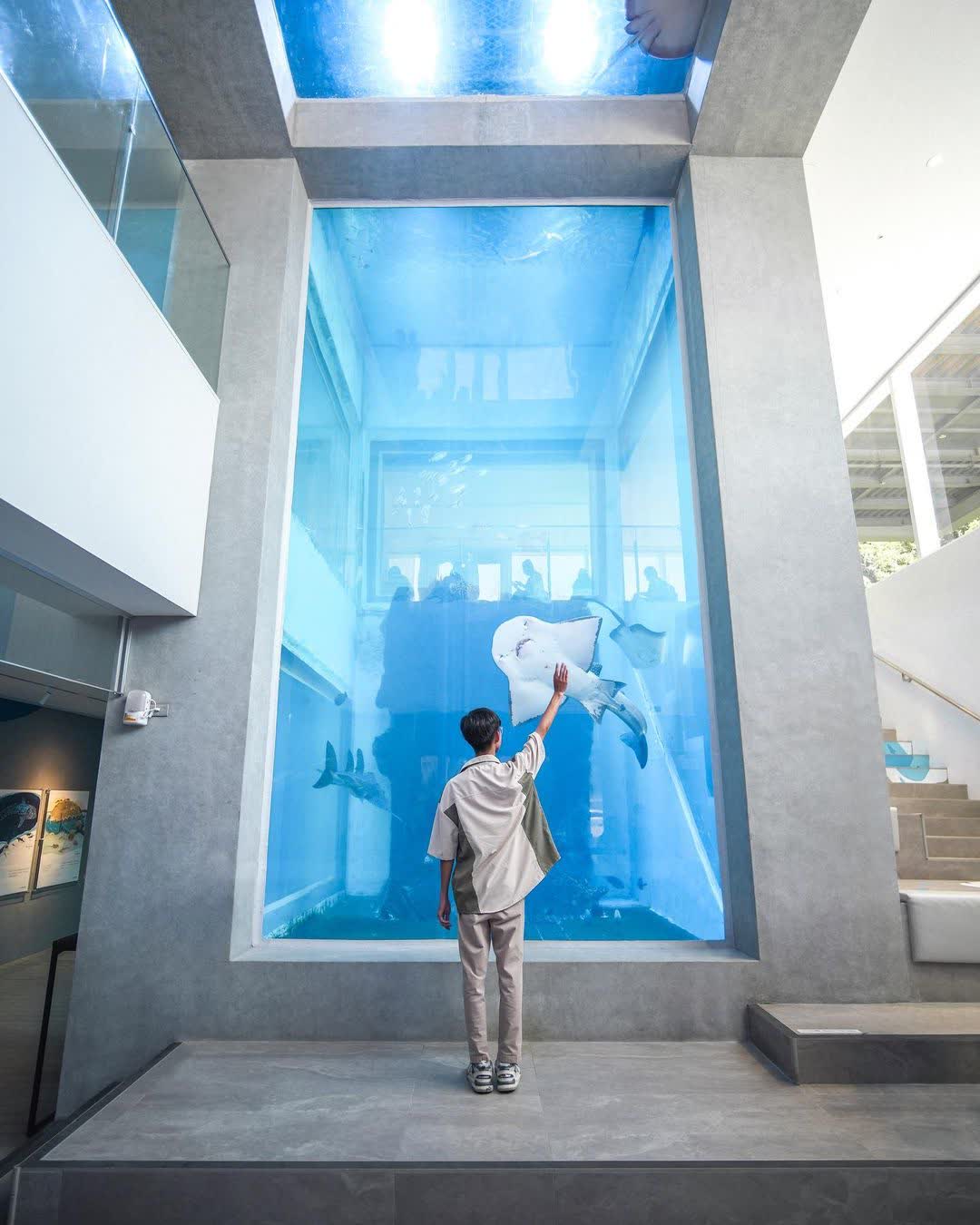 潮境智能海洋館 | 去趣 chicTrip