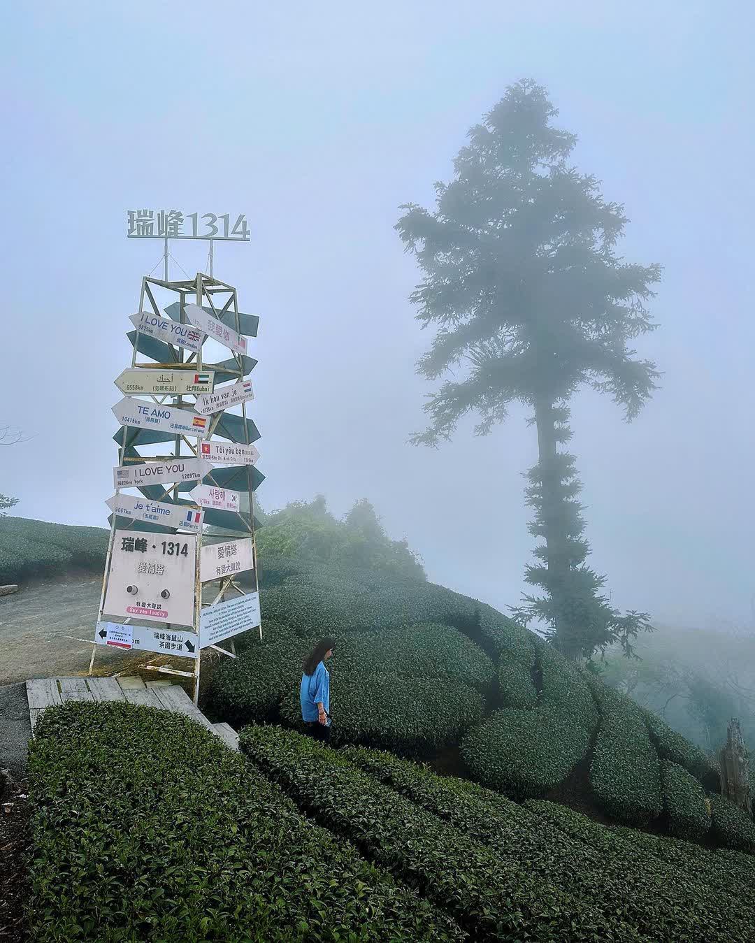 一三一四觀景台 | 去趣 chicTrip