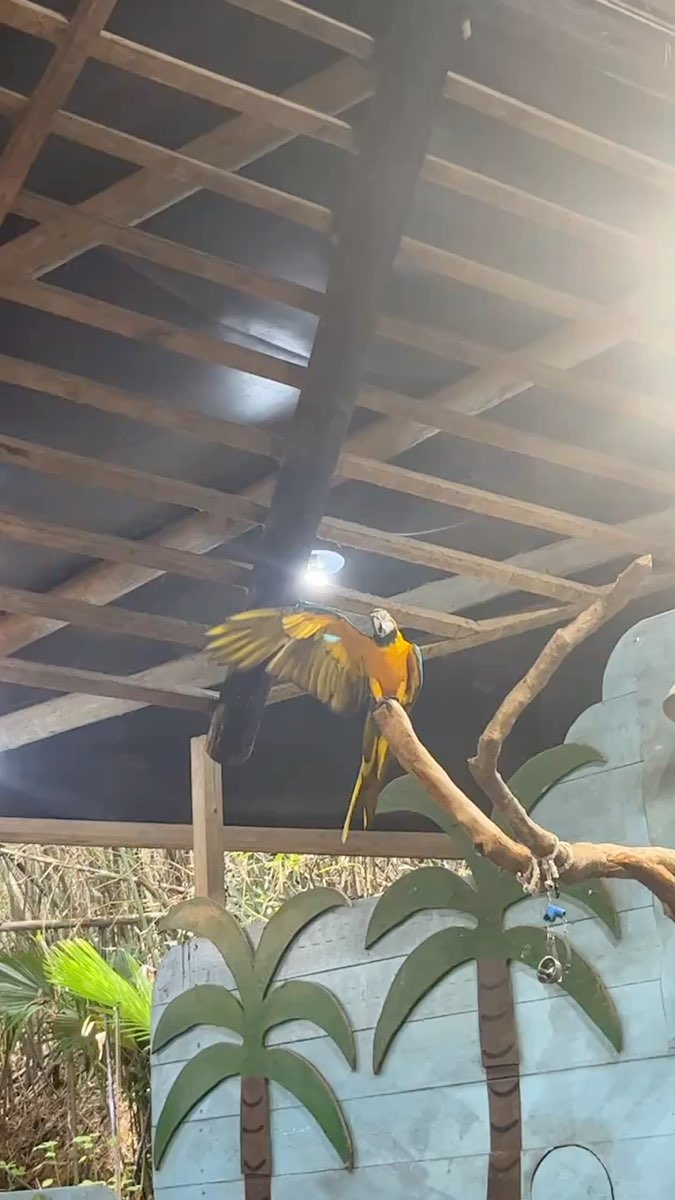 綠世界生態農場 | 去趣 chicTrip