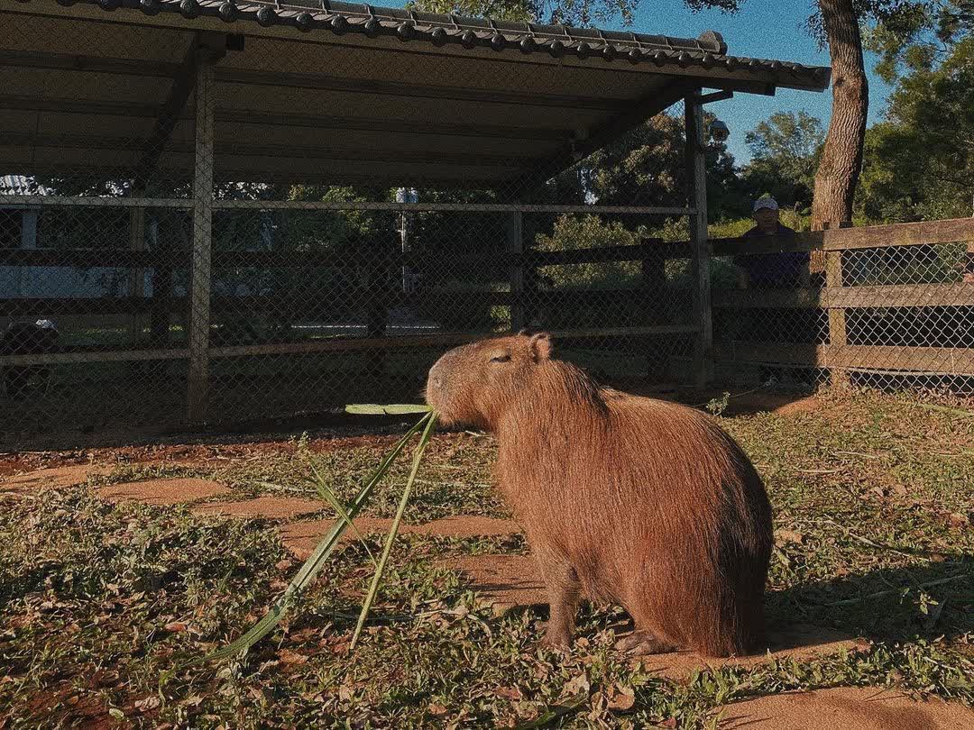 埔心牧場 | 去趣 chicTrip