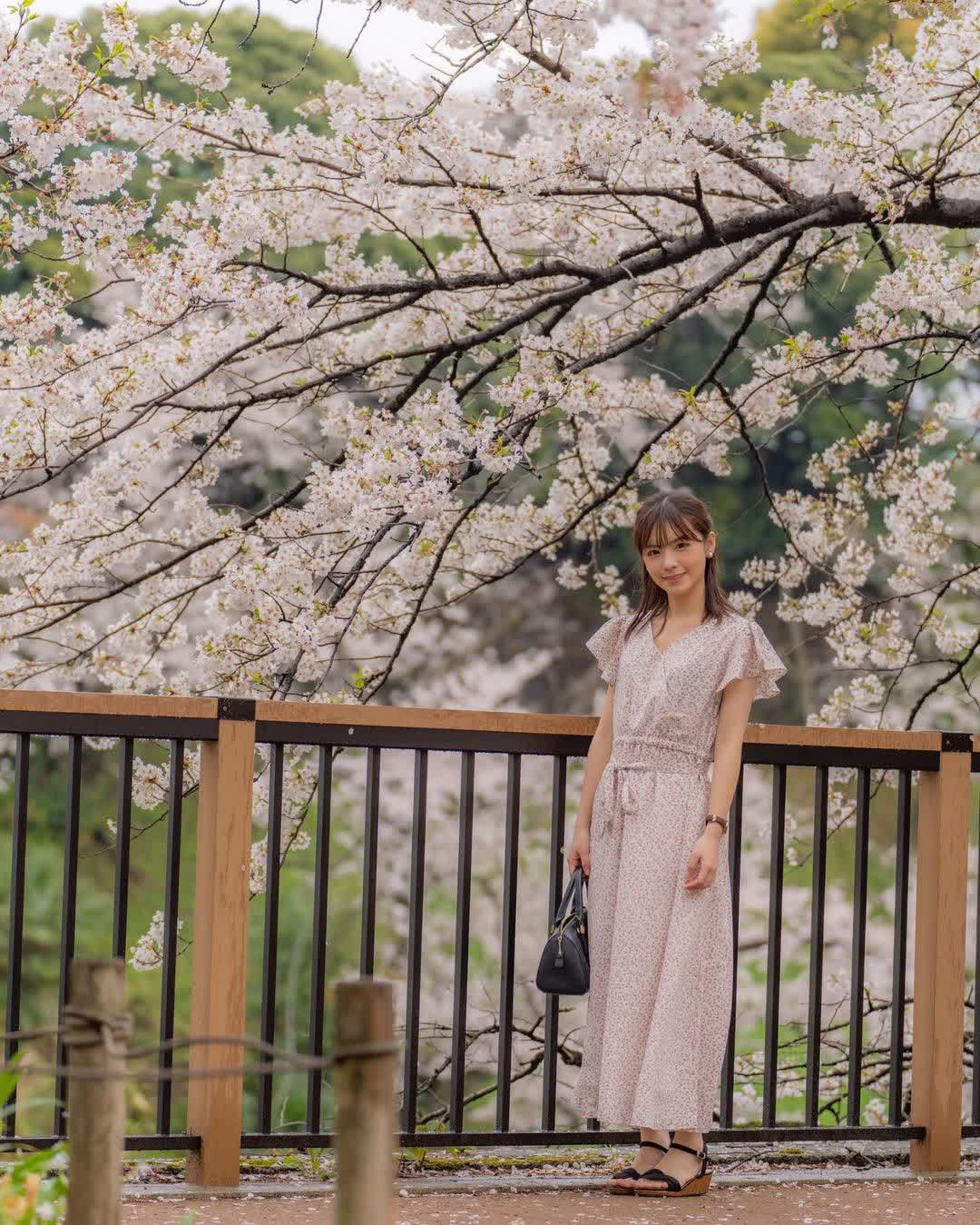 Chidorigafuchi Park | 去趣 chicTrip