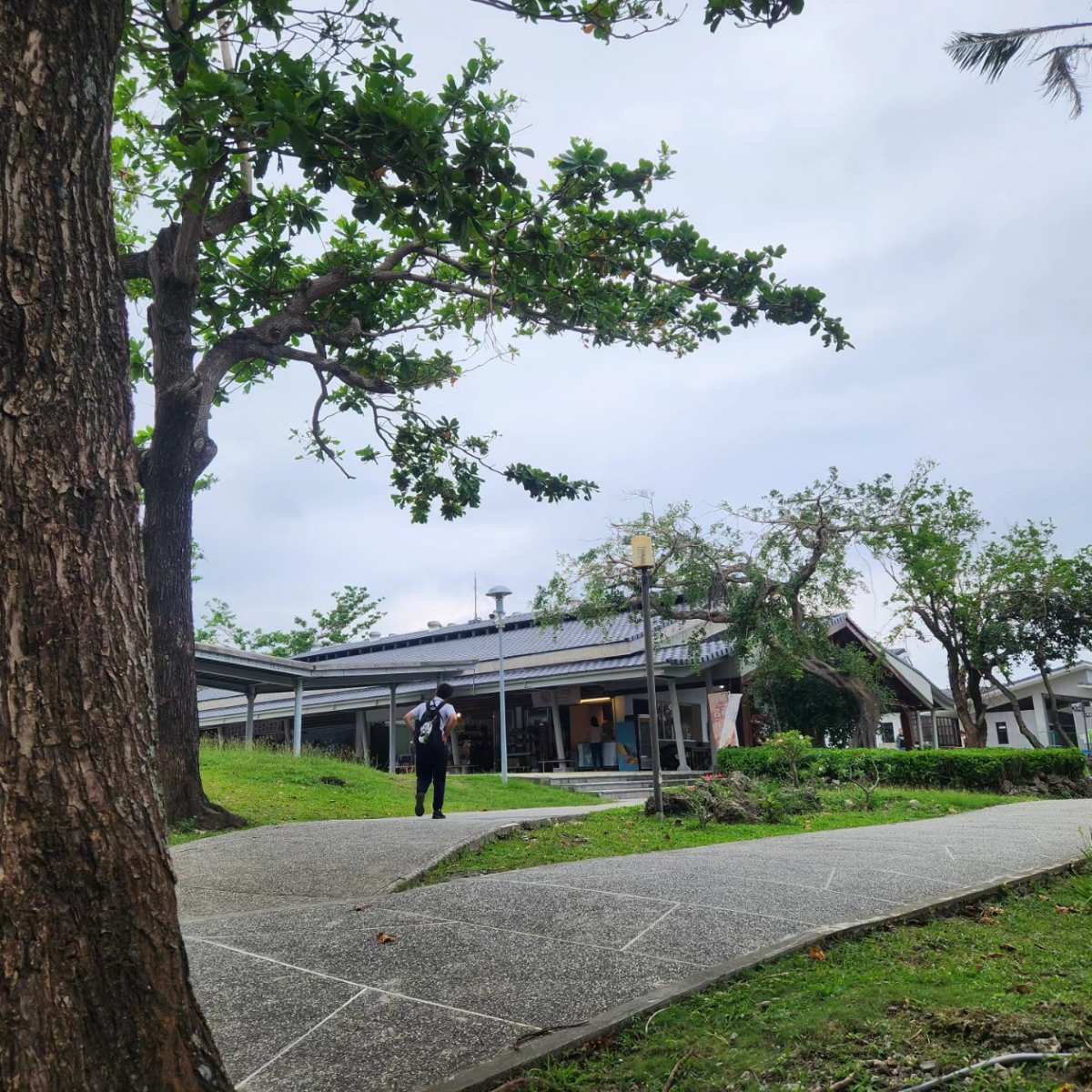 東部海岸地質公園（富岡地質公園） | 去趣 chicTrip