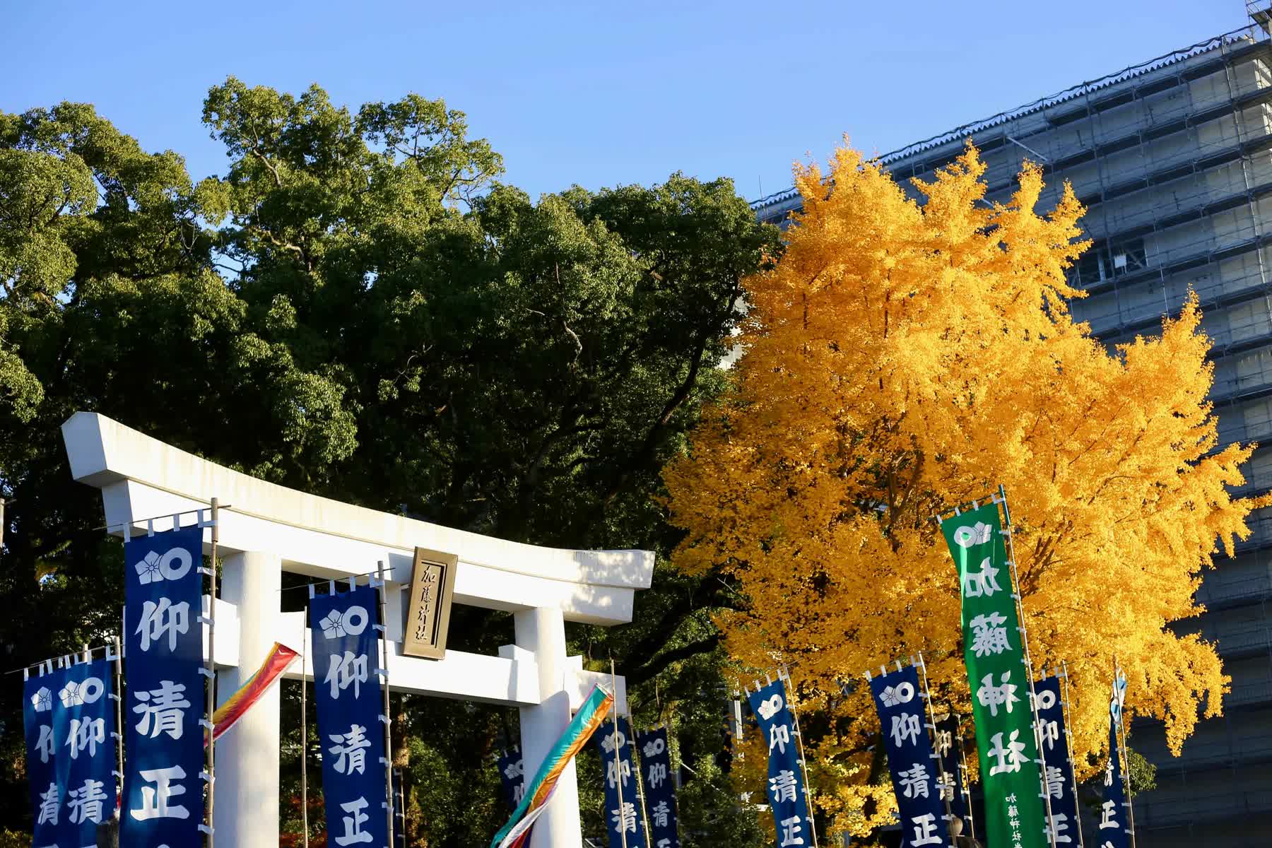 加藤神社 | 去趣 chicTrip