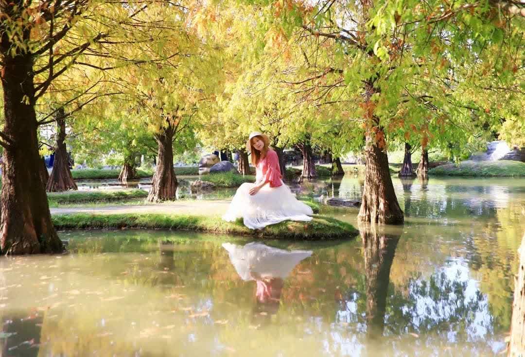 青埔落羽松秘境 | 去趣 chicTrip