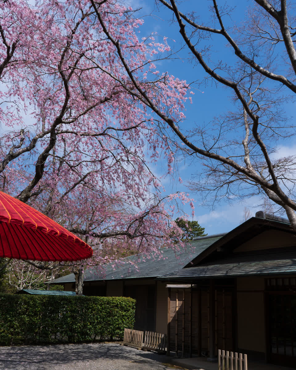 MOA美術館 | 去趣 chicTrip