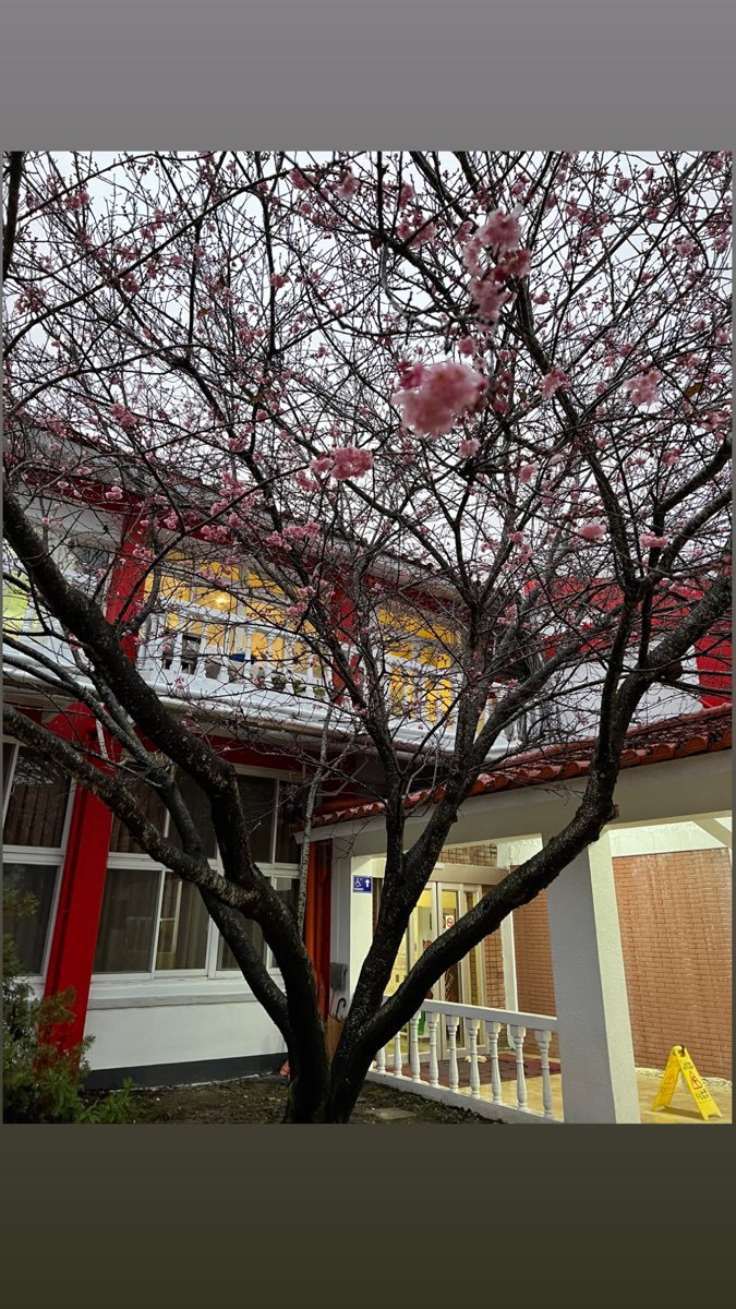 清境農場國民賓館 | 去趣 chicTrip