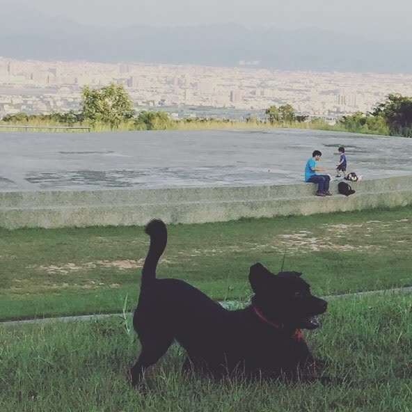 望高寮夜景公園 | 去趣 chicTrip