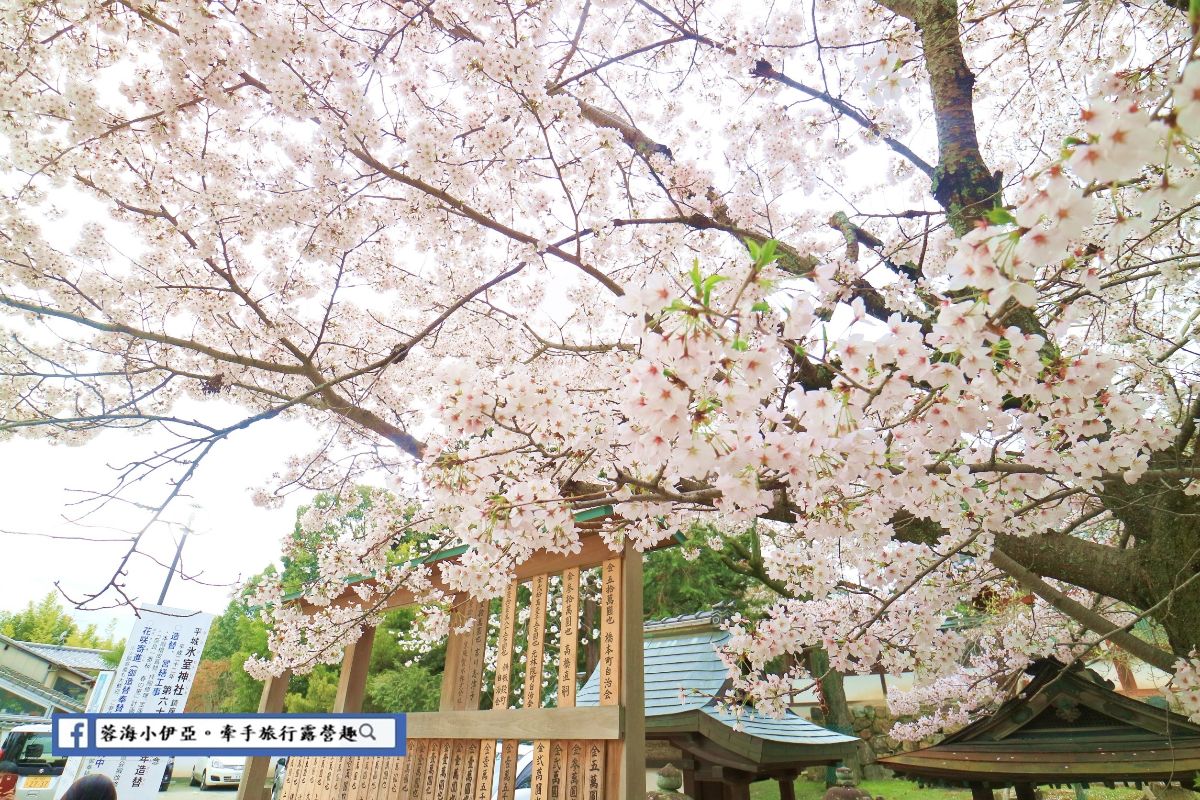 Himurojinjahonden | 去趣 chicTrip