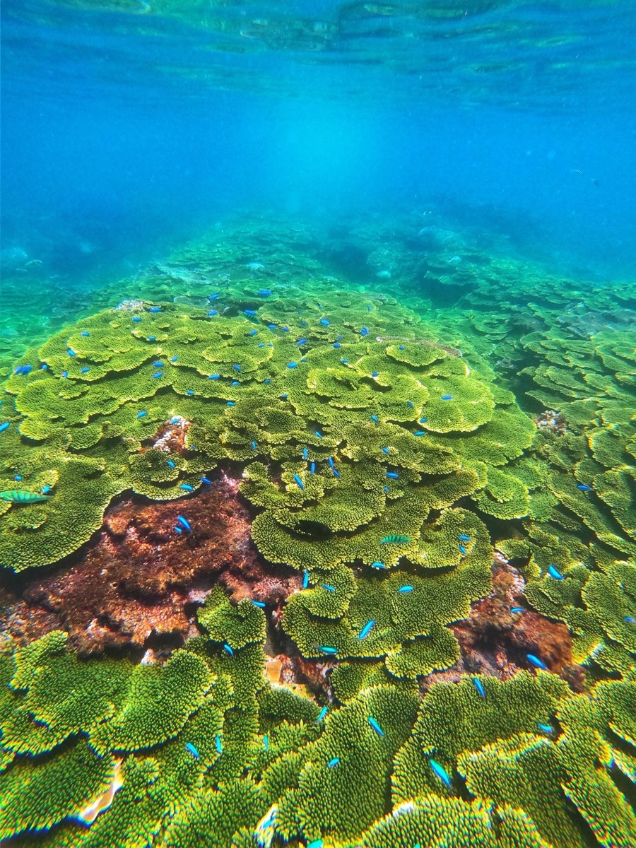 金瓜仔礁（忘憂島） | 去趣 chicTrip