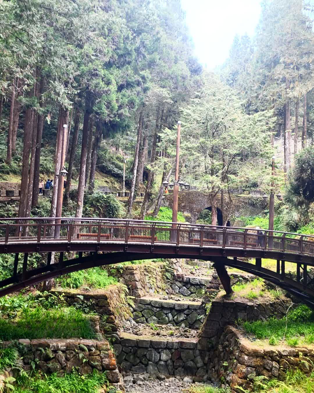 阿里山國家森林遊樂區 | 去趣 chicTrip