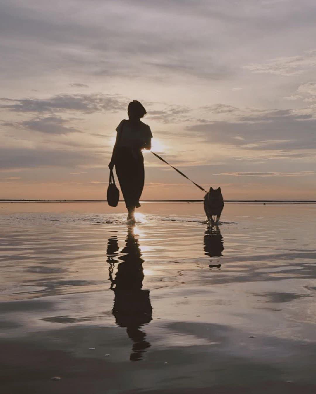 高美濕地 | 去趣 chicTrip