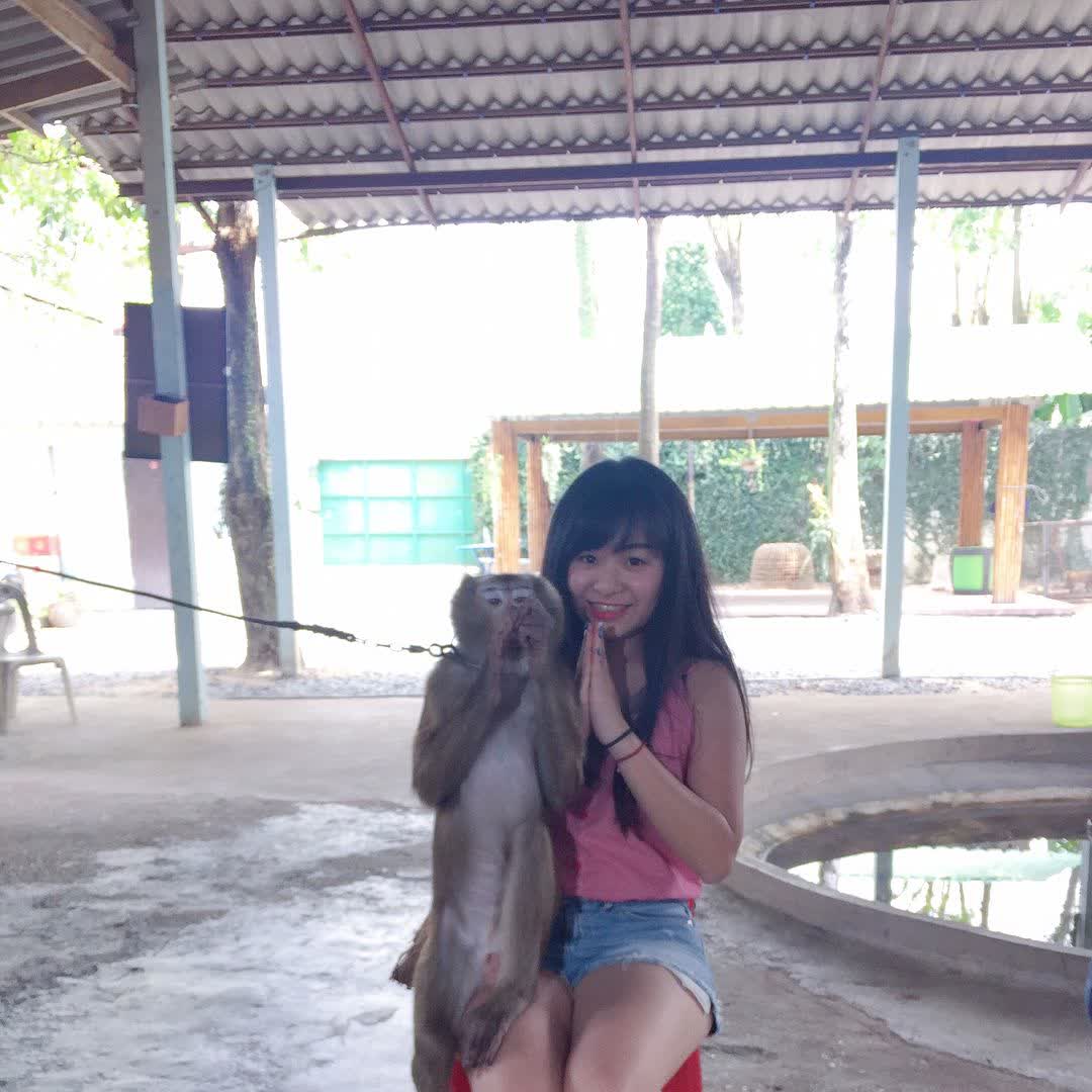 東芭樂園 | 去趣 chicTrip