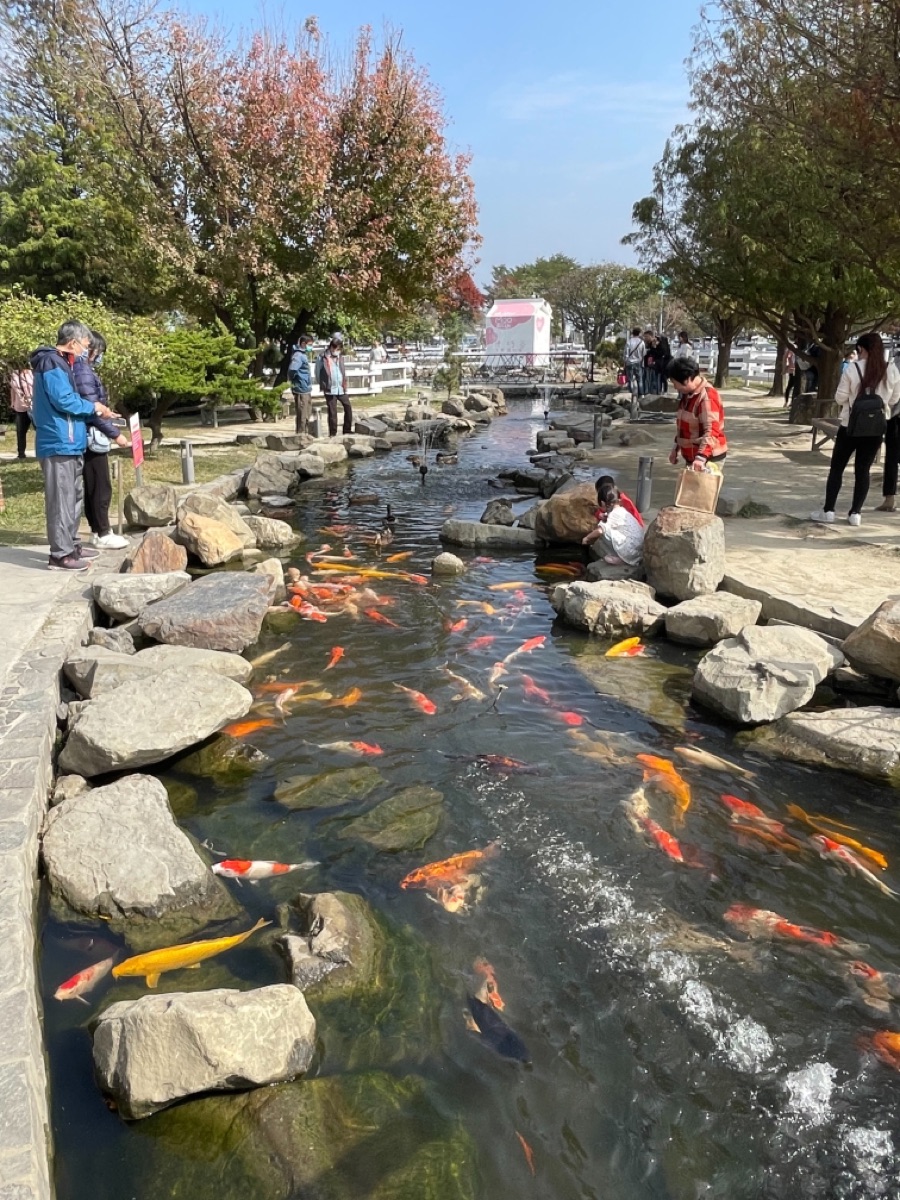 千巧谷牛樂園牧場 | 去趣 chicTrip