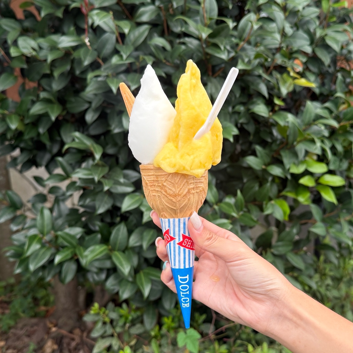Dolce Ice Cream | 去趣 chicTrip