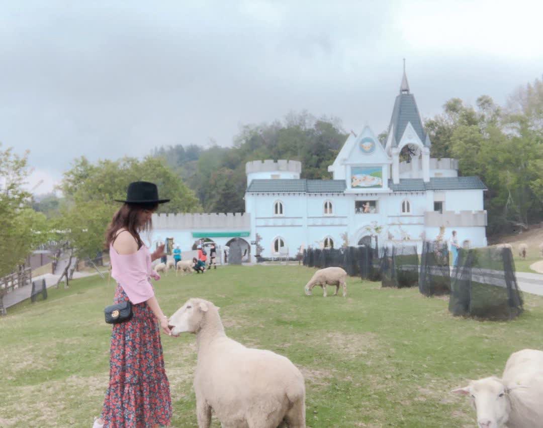 清境農場觀山牧區 | 去趣 chicTrip