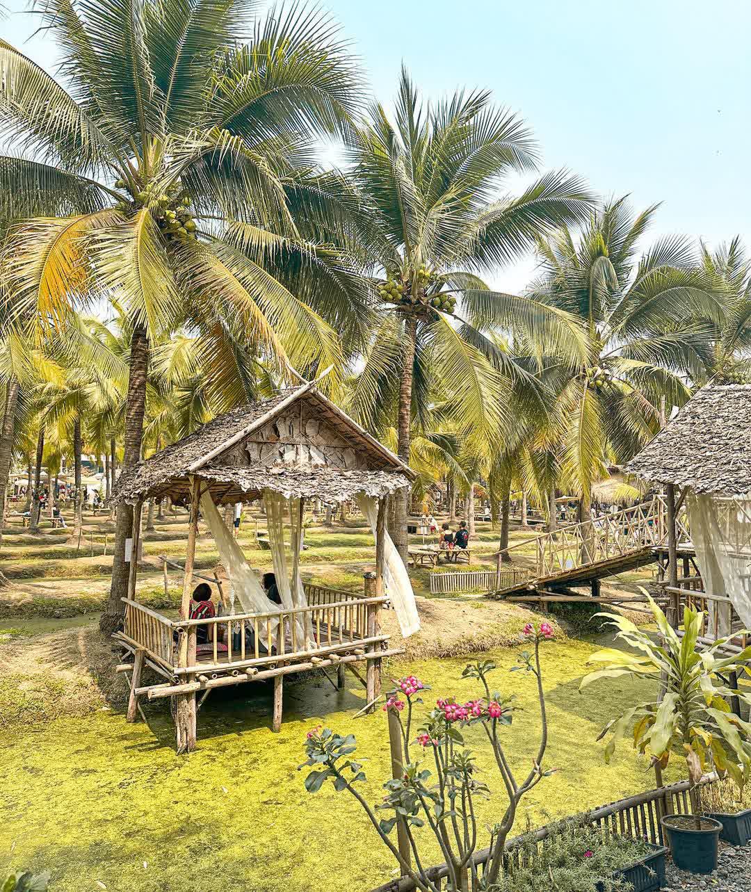 清邁椰林市集 (Coconut Market) | 去趣 chicTrip