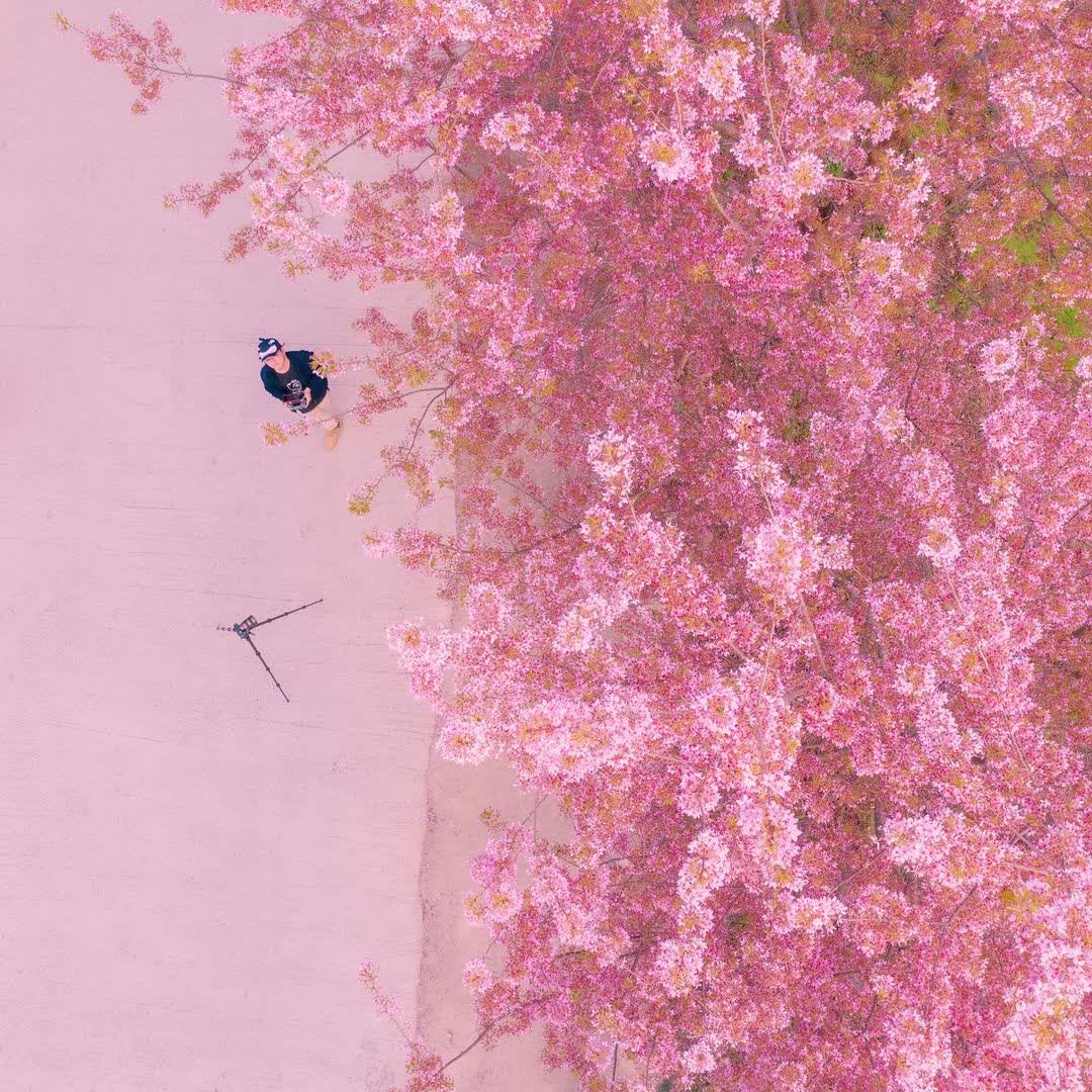 司馬庫斯 | 去趣 chicTrip