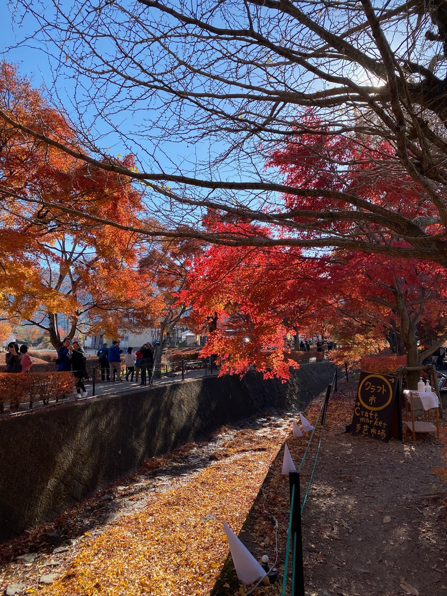 河口湖楓葉迴廊 | 去趣 chicTrip