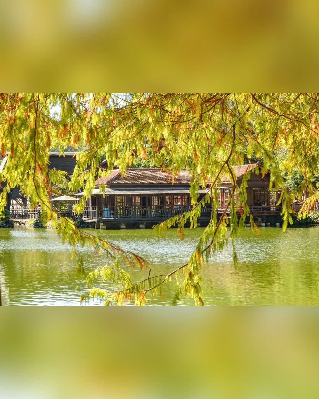 車埕木業展示館 Checheng Logging Exhibition Hall | 去趣 chicTrip