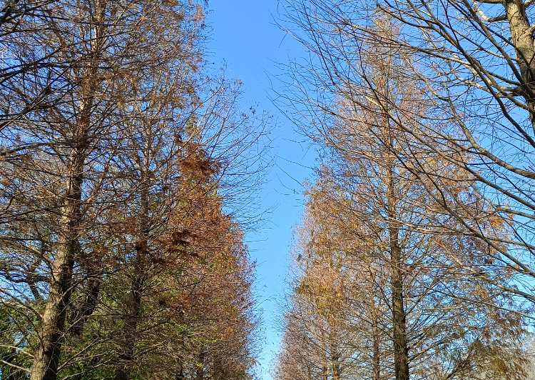 成美文化園 | 去趣 chicTrip