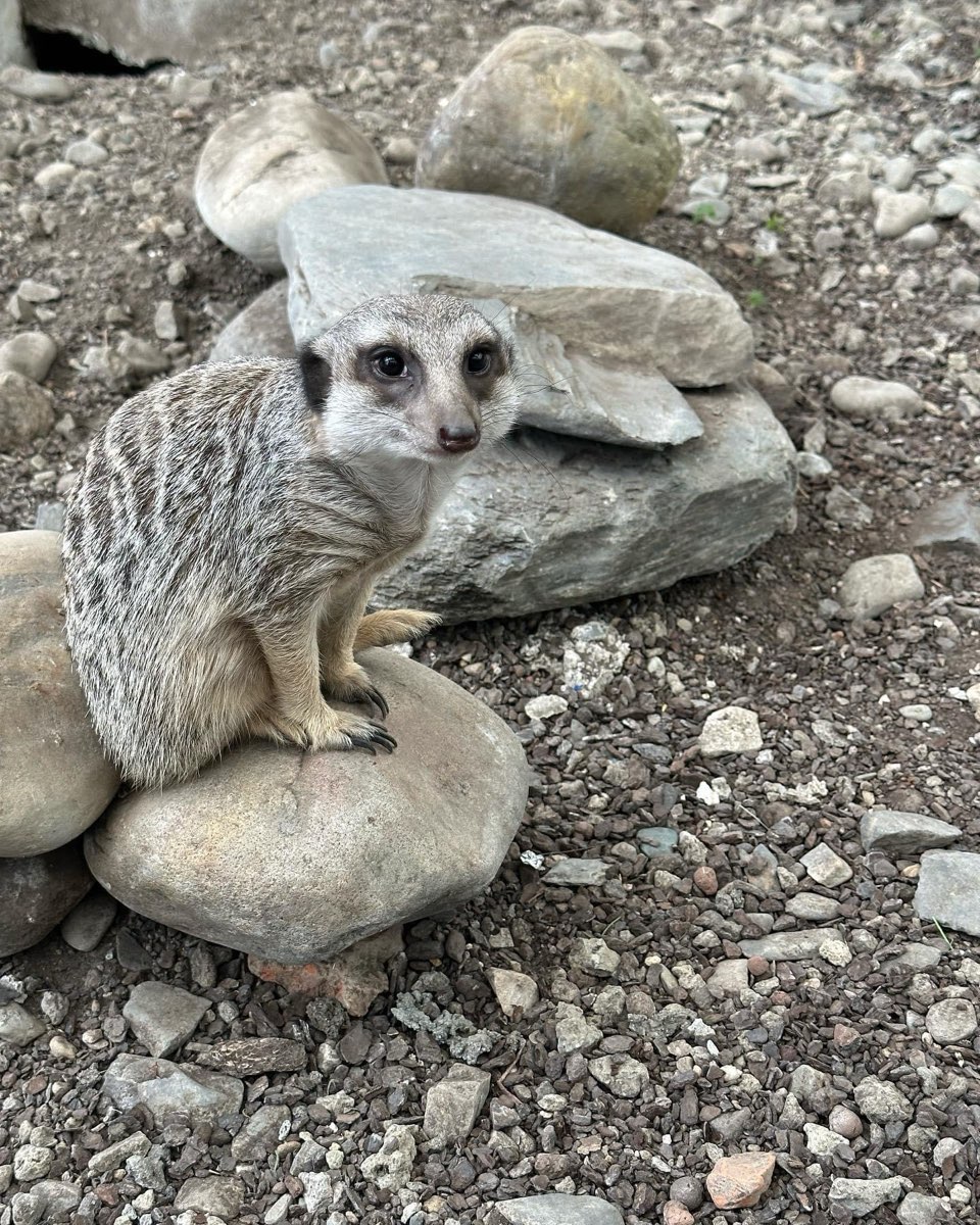 金車礁溪蘭花園附設動植物生態館 | 去趣 chicTrip
