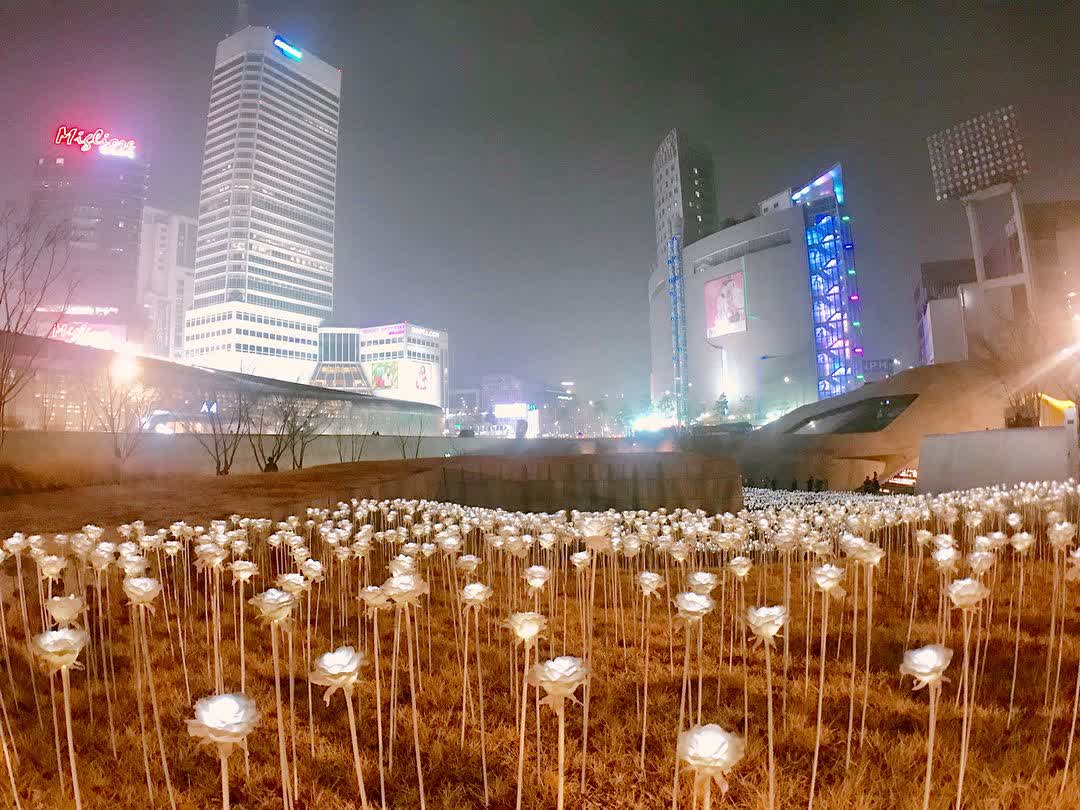 東大門設計廣場 DDP | 去趣 chicTrip