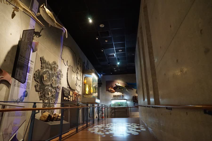 臺南左鎮化石園區(16:00截止售票、17:00閉館) | 去趣 chicTrip