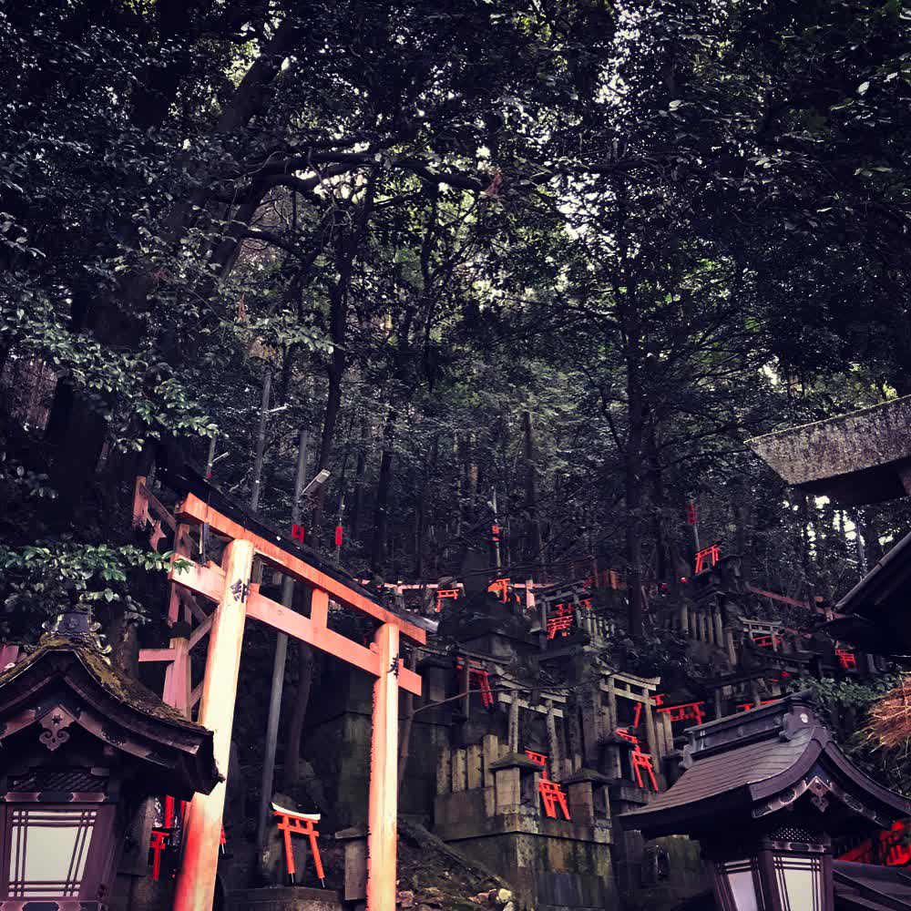 伏見稻荷大社 | 去趣 chicTrip