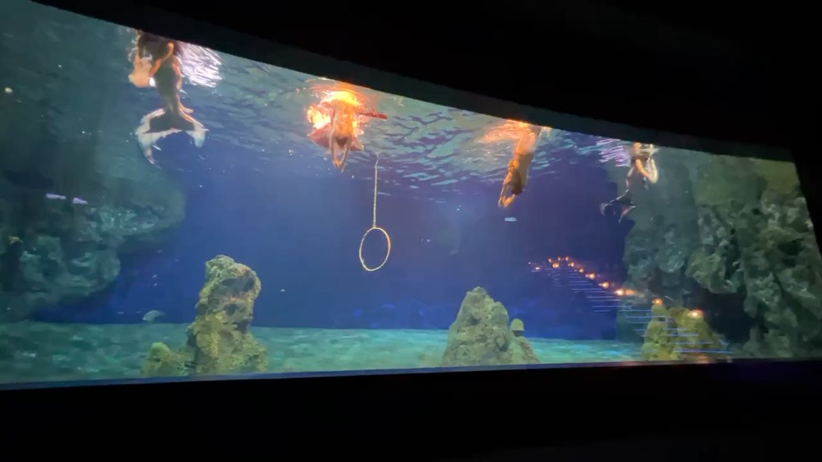 遠雄海洋公園 | 去趣 chicTrip