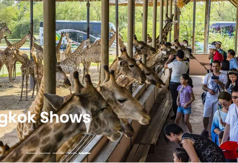 曼谷Safari World野生動物園 | 去趣 chicTrip