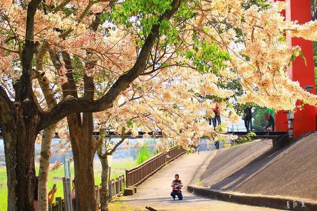 竹崎親水公園 | 去趣 chicTrip