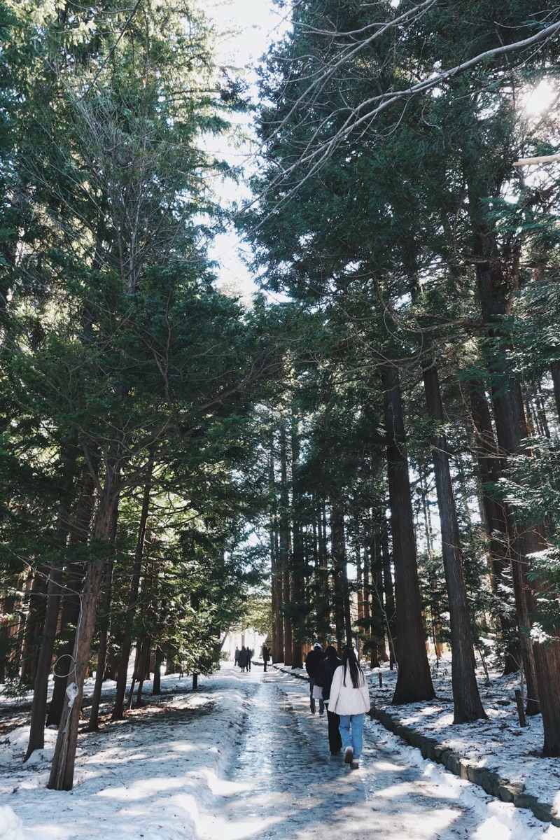 北海道神宮 | 去趣 chicTrip