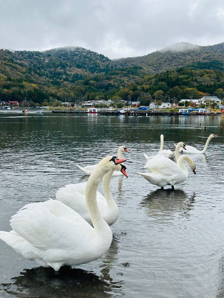 平野之濱 | 去趣 chicTrip