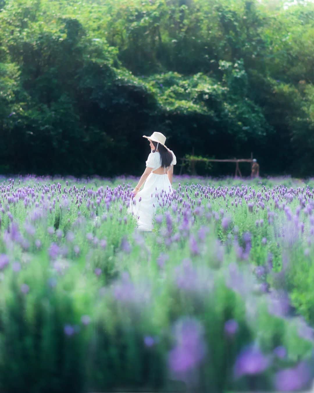 葛瑞絲香草田 | 去趣 chicTrip