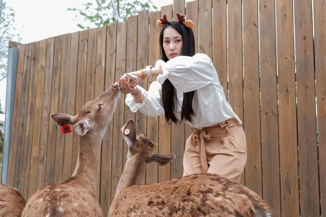 宜蘭-斑比山丘 | 去趣 chicTrip