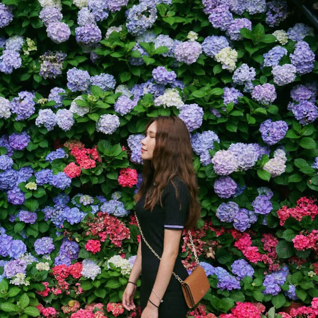 花露農場 Flower Home | 去趣 chicTrip