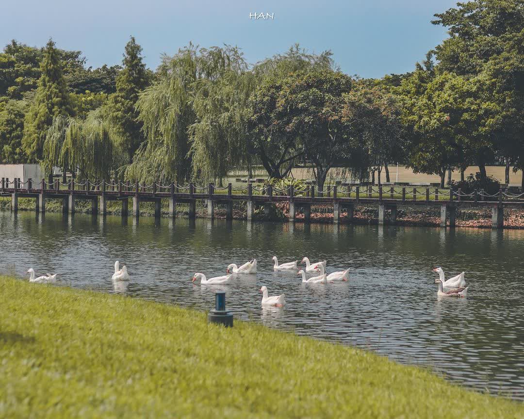 奇美博物館 | 去趣 chicTrip