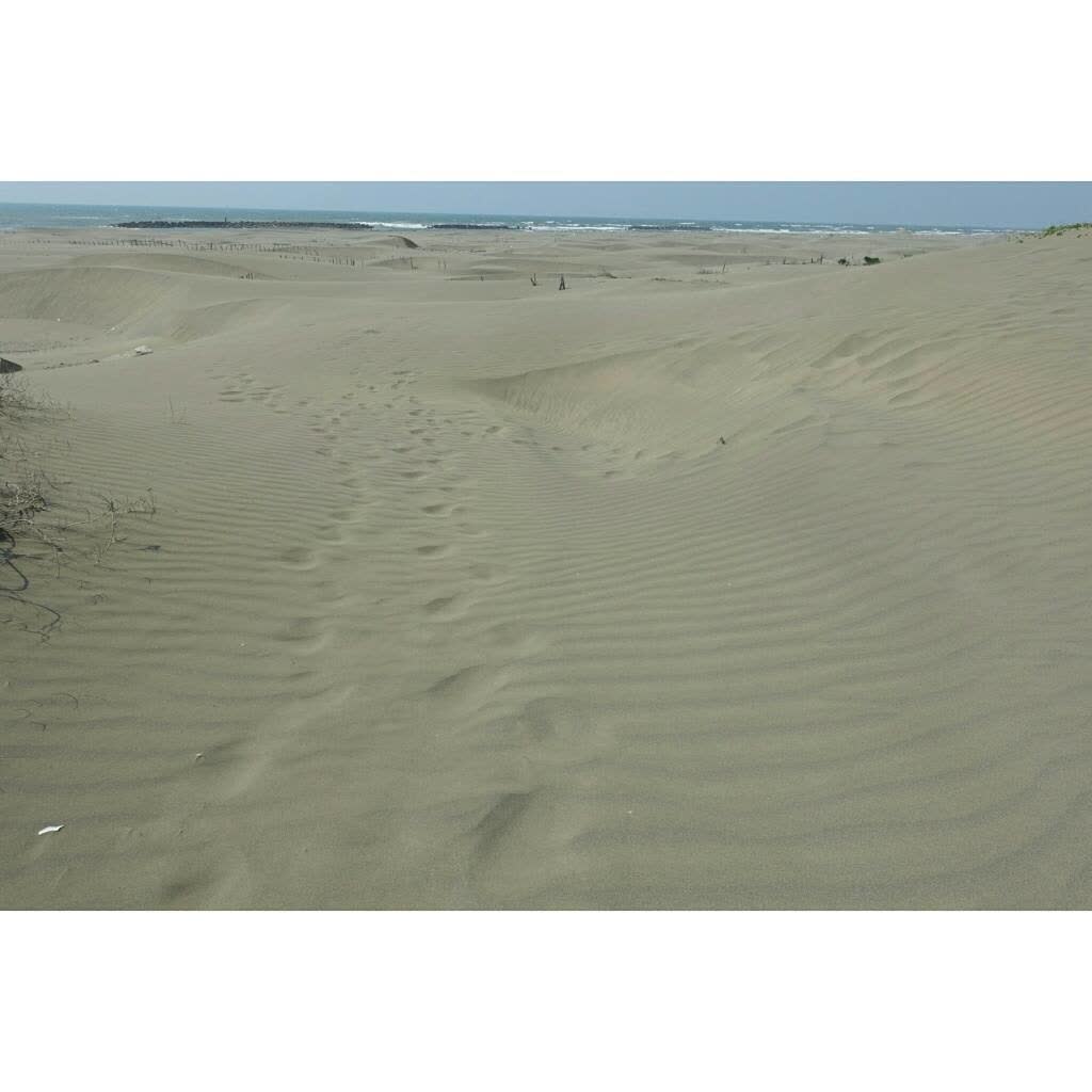 頂頭額沙洲 | 去趣 chicTrip